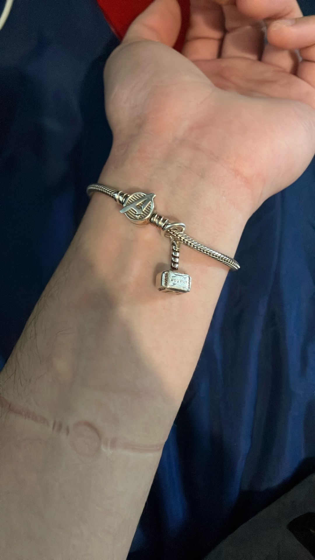 Pandora bracelet And Charm