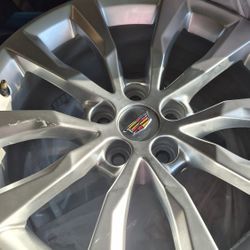 Rim