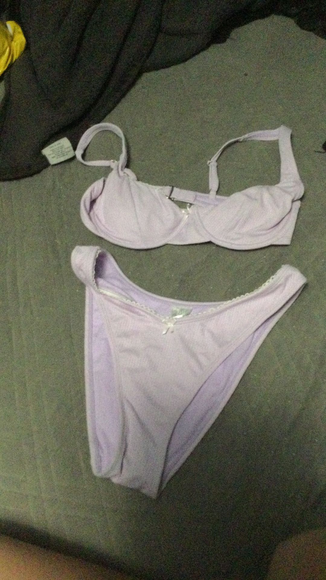 Purple Wild Fable Bikini