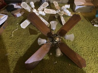 Ceiling Fans