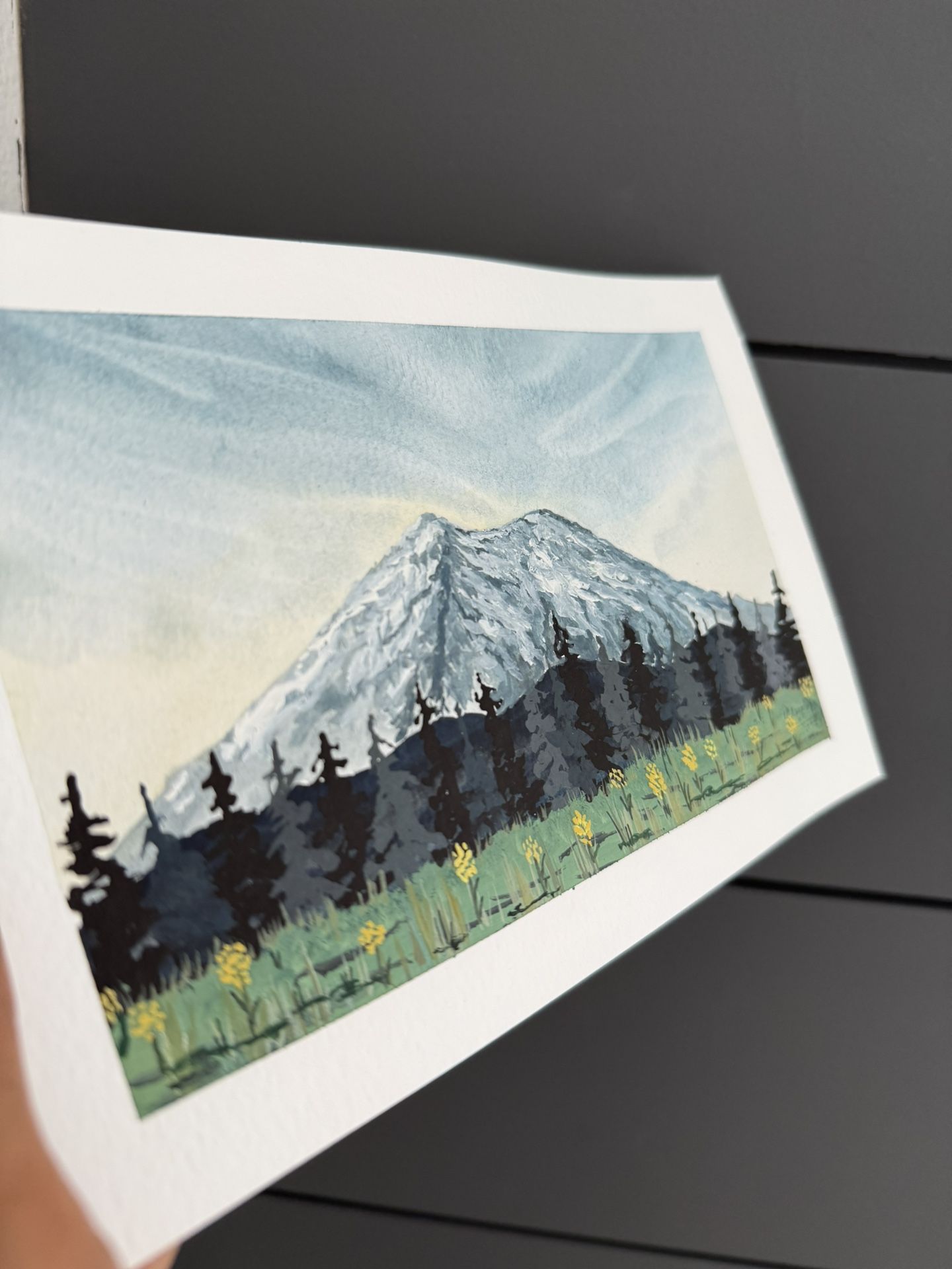Mount Rainer Scene