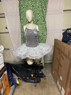 Professional Ballerina Costume