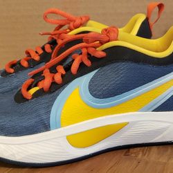 Nike Giannis Freak 6 KC Youth Basketball Shie