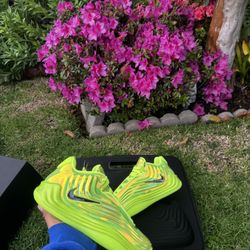 Nike Giannis Freak 7 LX All-Star Warning Label 