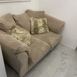 Love Seat With Two Throw Pillow