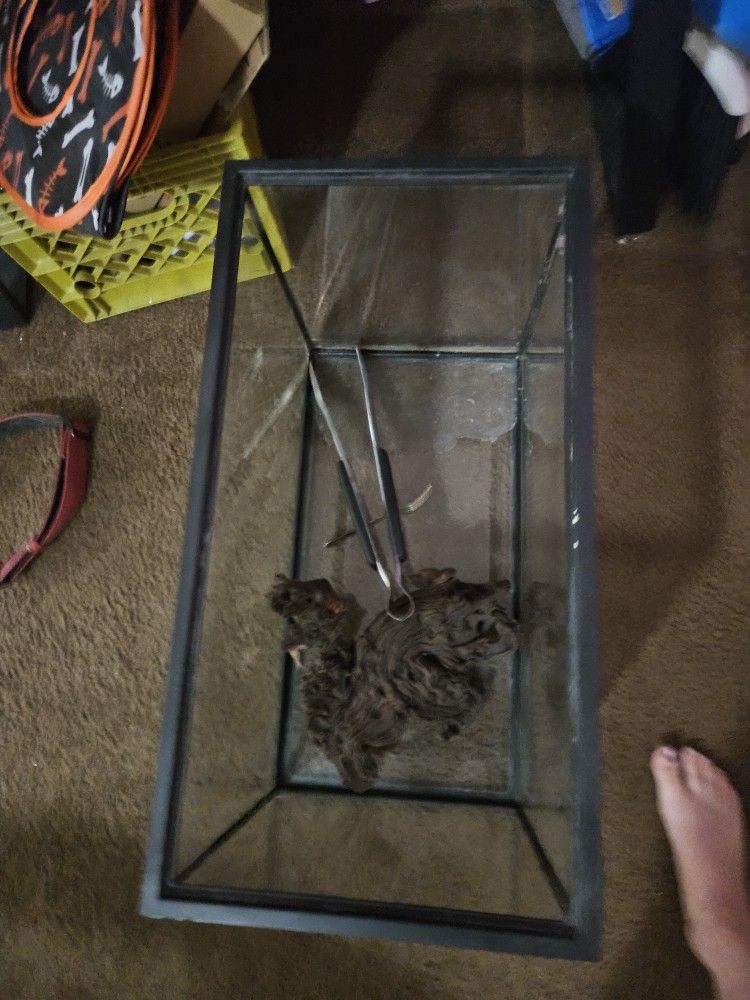 Aquarium Tank