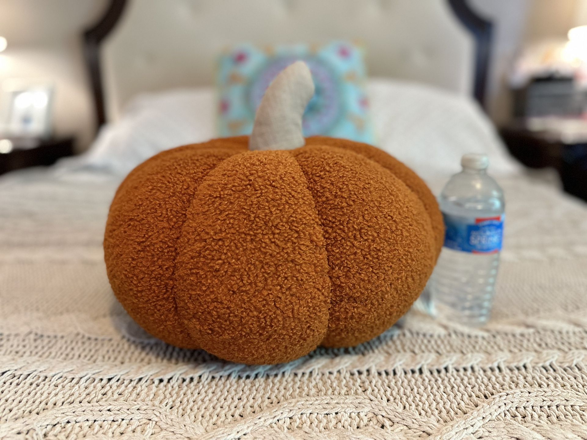 🍁Super Cute Pumpkin Plush Pillow 🎃