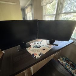 Dual Monitors (20”)