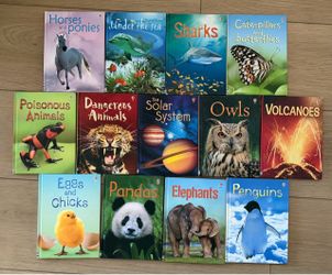 Usborne beginners mini chapter books