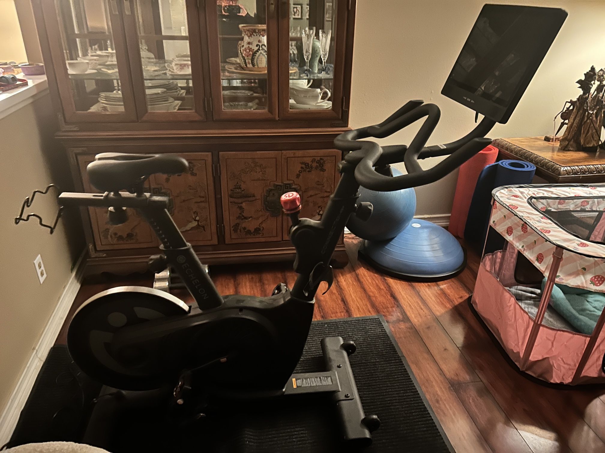 Echelon Connect Bike 4S+ with 15" Touch Screen