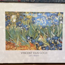 Vincent Van Gogh 
