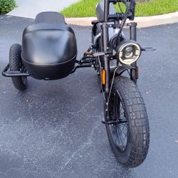 Ebike With Sidecar 