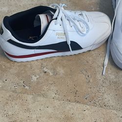 Puma Shoes 