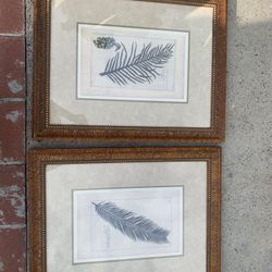 Frames