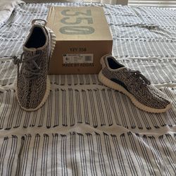 Turtle Yeezy Boost 350