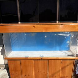 125g Acrylic Tank With Stand 