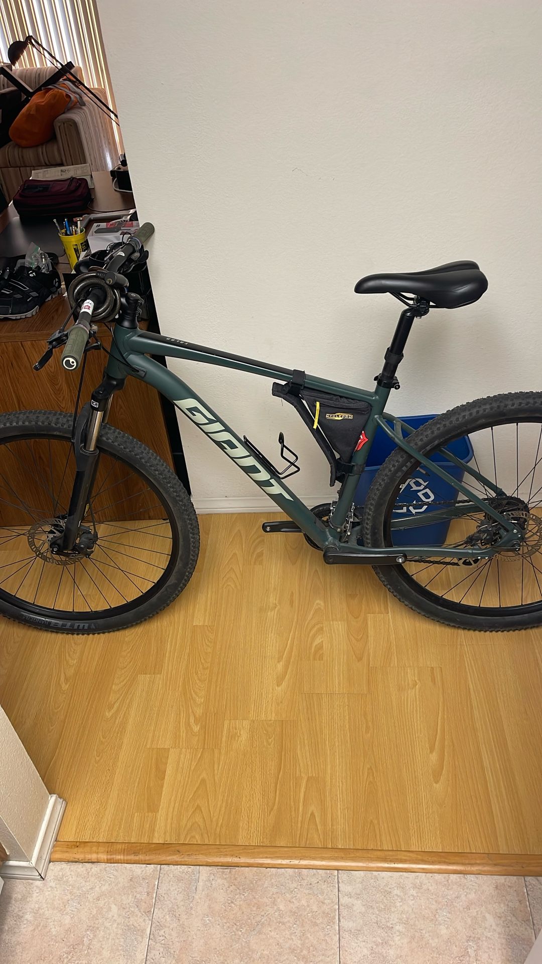 Large Giant Talon Mountain Bike