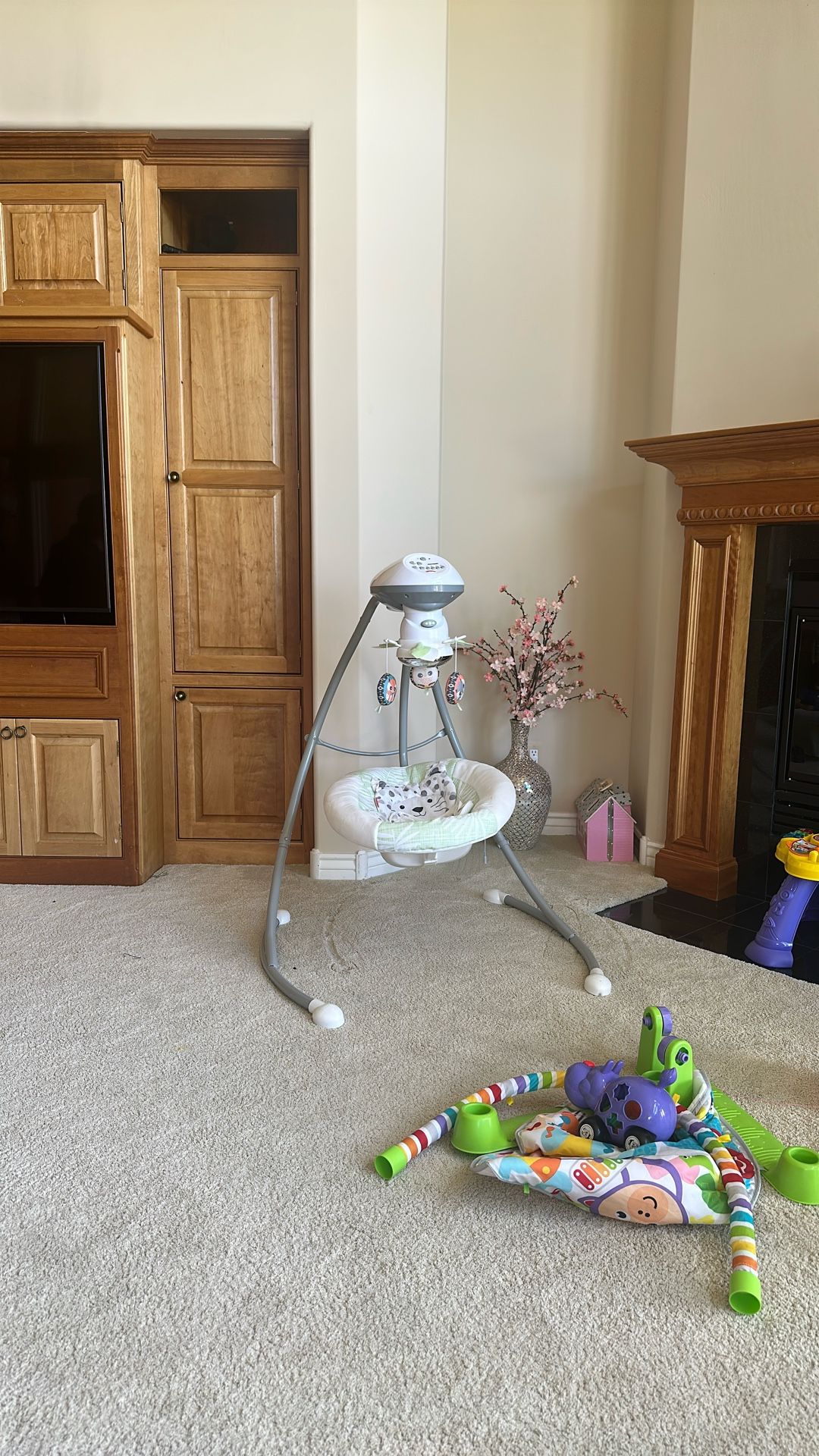 Baby Swing