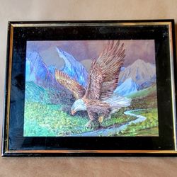 Framed Picture Of Eagle In Flight (Hologram changes color)