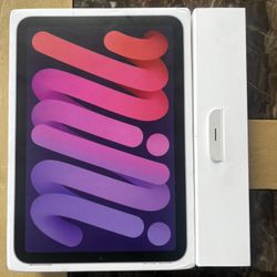 2021 iPad Mini 6 256 Gb Purple 