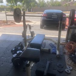 Weights And Bench Plus