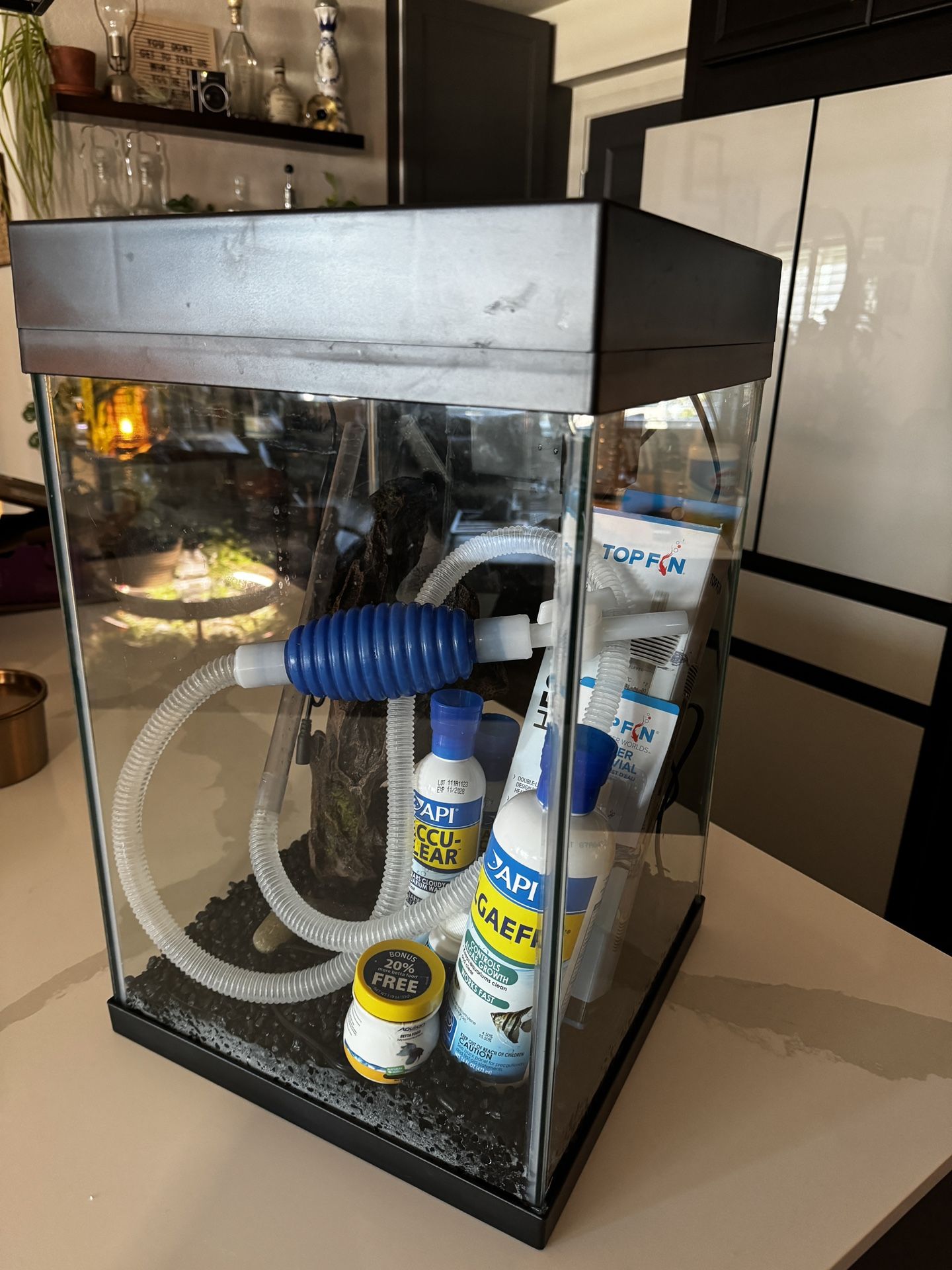 10 Gallon Fish Tank