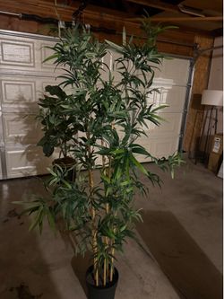 Beautiful Artificial Plant  🌱