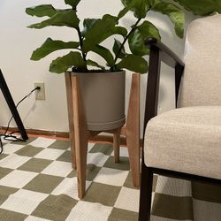 Modern Hand Made Plant Stand