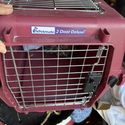 Pet Carrier