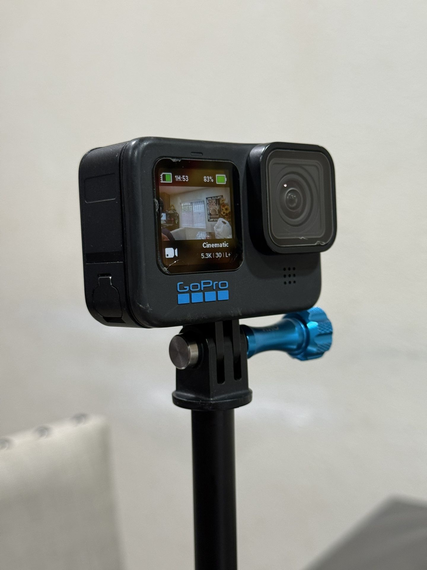 Gopro