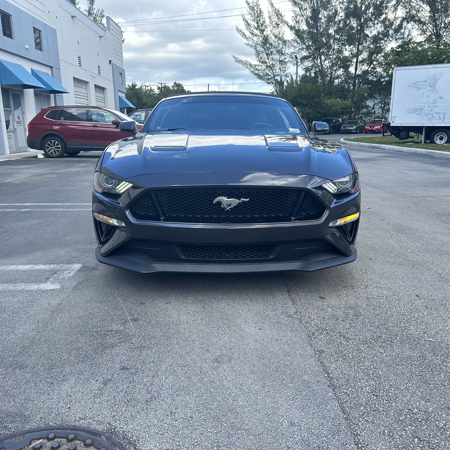 2019 Ford Mustang