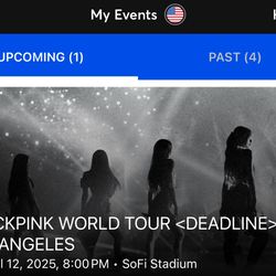 Blackpink Concert