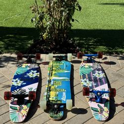 LongBoard Skateboard 