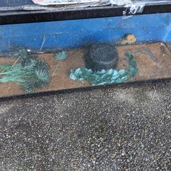 Reptile Tank And Water Dish 