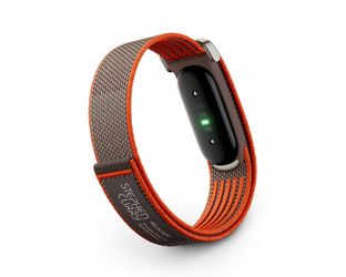 Google Fitbit Air (Rye) Fitness & Sleep Tracker - Special Edition Stephen Curry Band