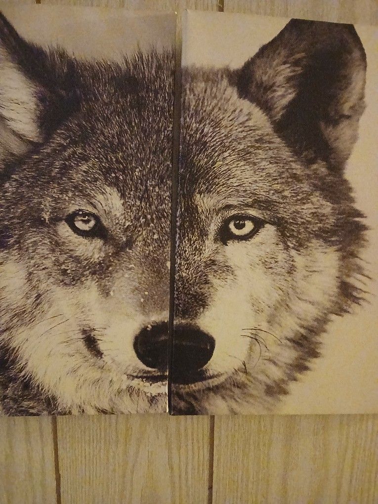Side By Side Wolf Picture