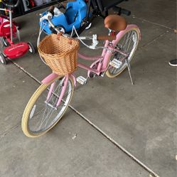 Adult Bike 