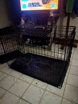 Dog Cage Kennel Doghouse Used Folding Medium