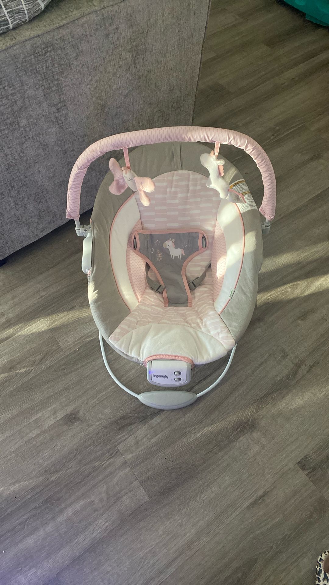 Baby Bouncer