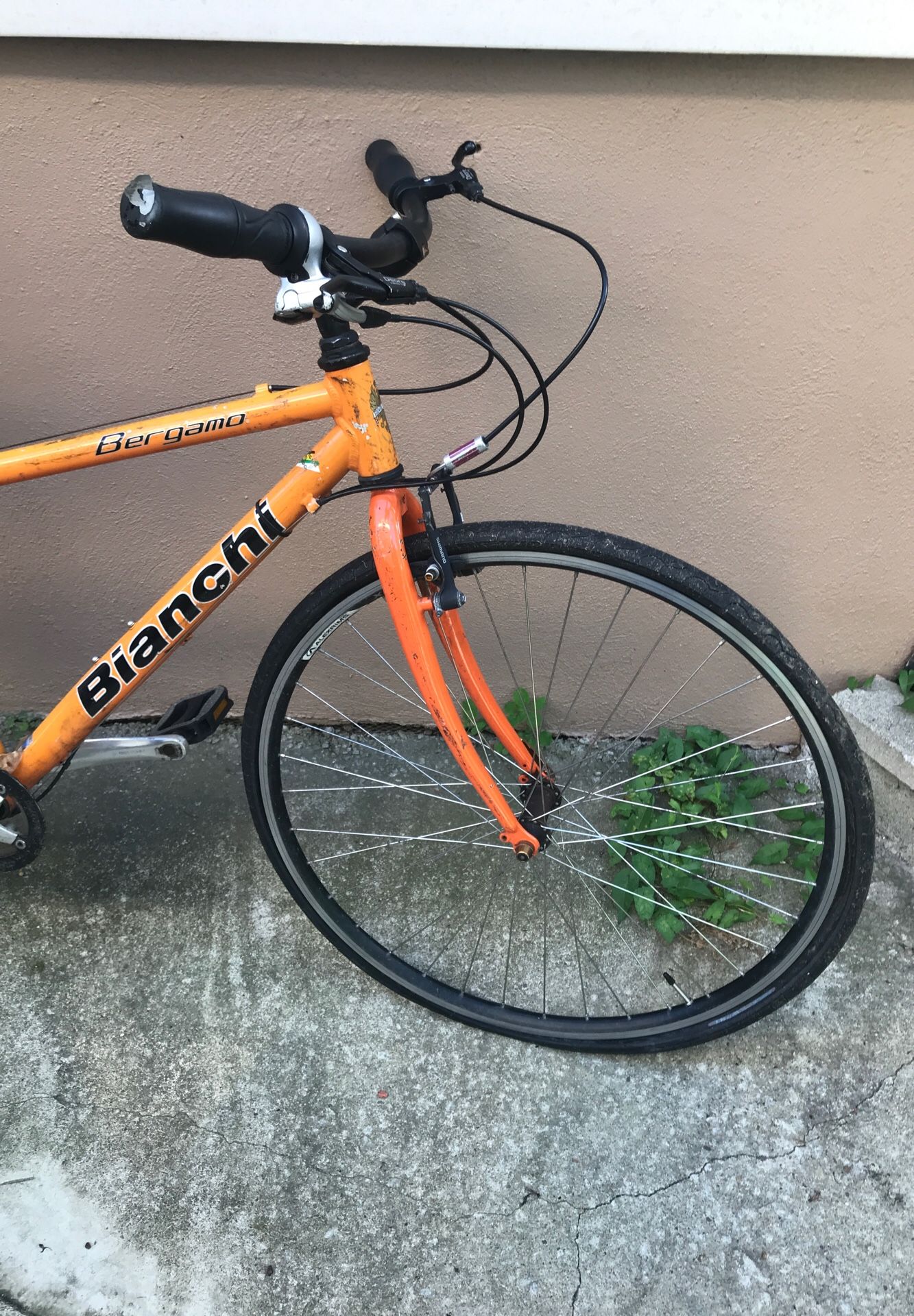 Bianchi Bergamo for Sale in Cambridge, MA - OfferUp