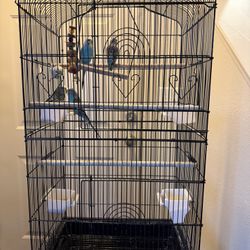 Bird Cages 
