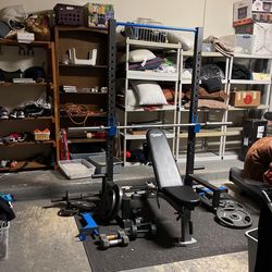 Professional Total Home Gym