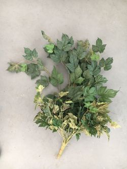 Greenery bookshelf filler