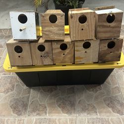 Nest Boxes 