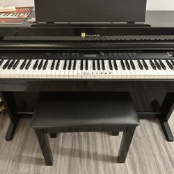 Modelo :williams Color Negro