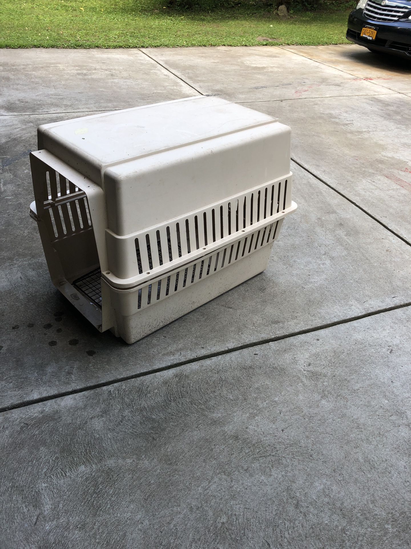 Dog crate for large dog