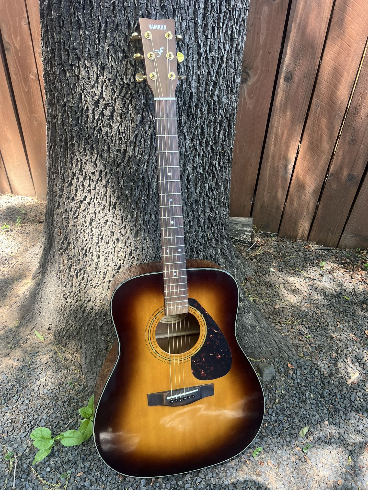Yamaha Acoustic Guitar