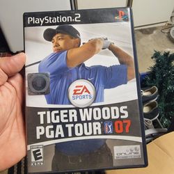 Ps2 Tiger Woods $15
