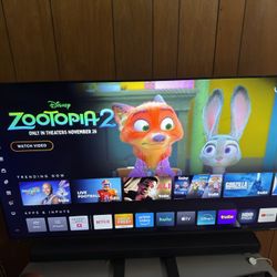 Vizio 50in TV Mint Condition