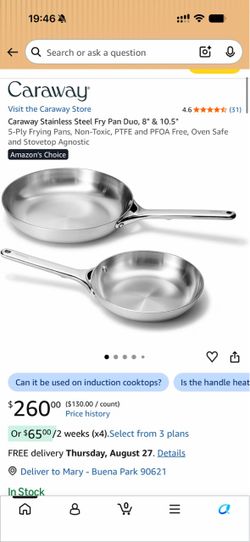 Caraway Stainless Steel Frying Pan Duo